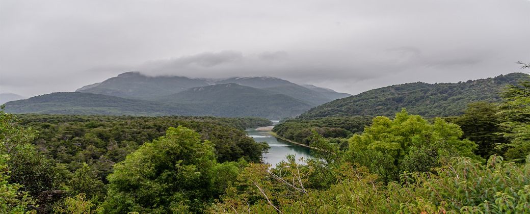 Parque Nacional Los Alerces. Créditos: Secretaría de Cultura de la Nación.