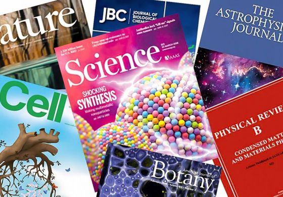 Quién decide qué se investiga: Hacia un mapa del financiamiento científico