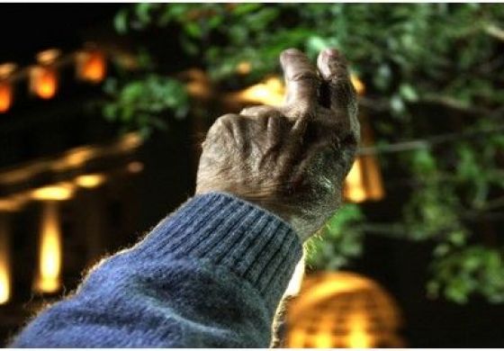 Así la vemos: Una colonia con un bufón de regente