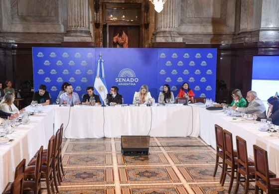 Ley de Tierras: El proyecto que quita límites a la extranjerización en la Argentina