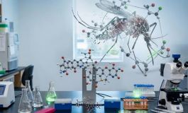 Estrategia contra el Zika: Con &ldquo;A&rdquo; de Antiviral