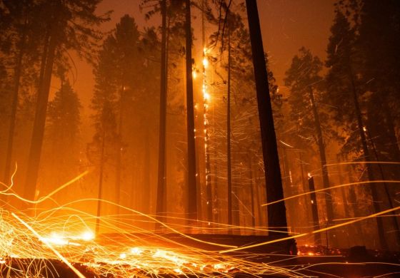 Guerras, cambio climático y ecocidio