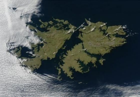 Milei y las Malvinas: patriotismo de emergencia, oportunismo, payasada